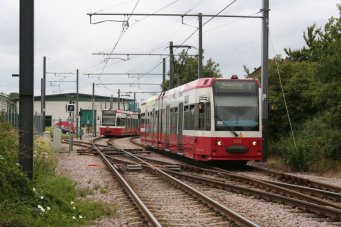 Link to picture