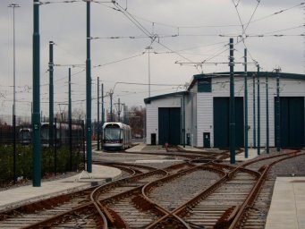 Link to picture